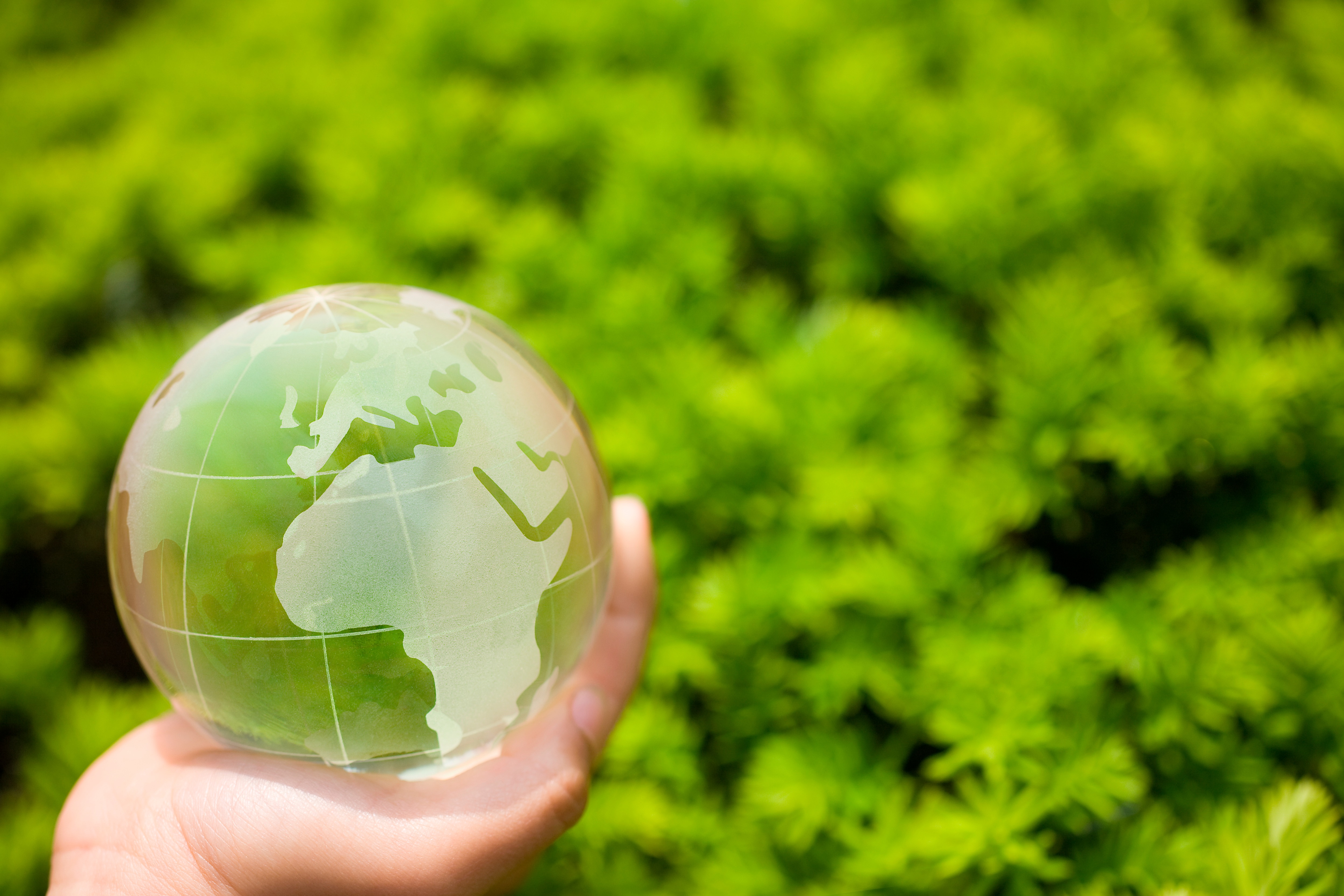 Globe in a field istock 