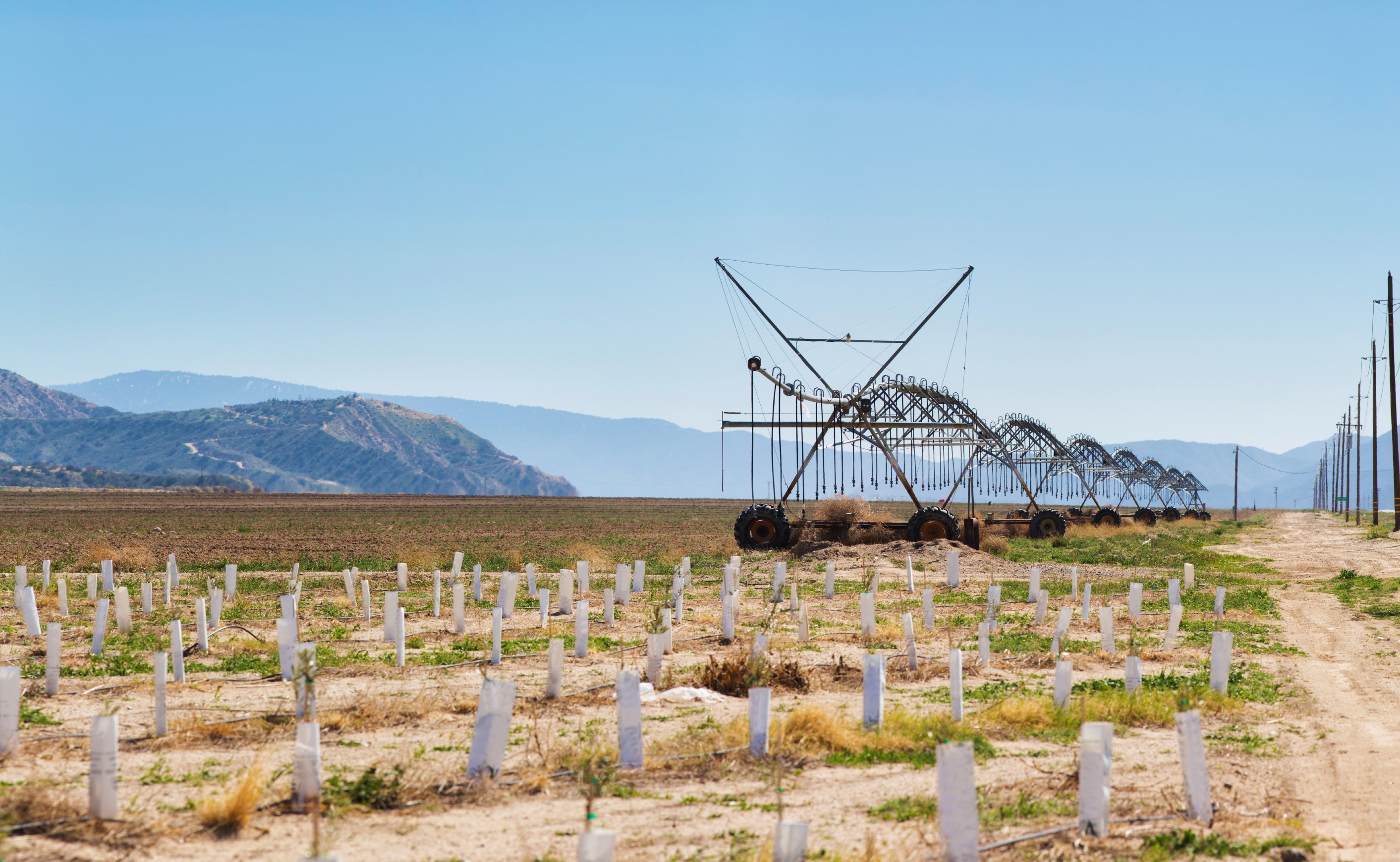 Farm iStock