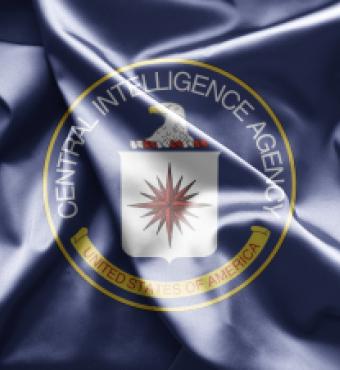 cia   large image