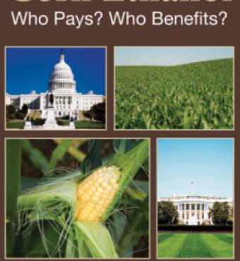 Corn Ethanol: Who Pays? Who Benefits? | Hoover Institution Corn Ethanol ...