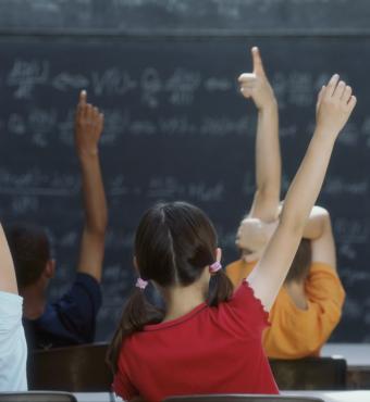 Students raising their hands