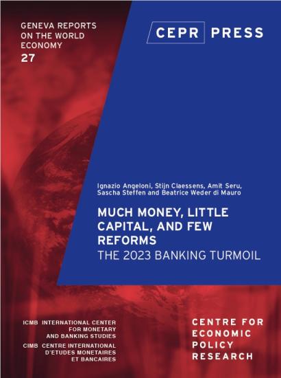 Geneva 27: Much Money, Little Capital, and Few Reforms: The 2023 banking turmoil