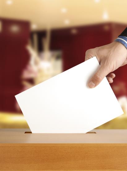 elections shutterstock  image