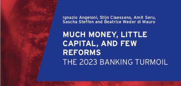 Geneva 27: Much Money, Little Capital, and Few Reforms: The 2023 banking turmoil