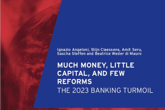 Geneva 27: Much Money, Little Capital, and Few Reforms: The 2023 banking turmoil