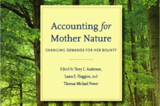 Accounting for Mother Nature