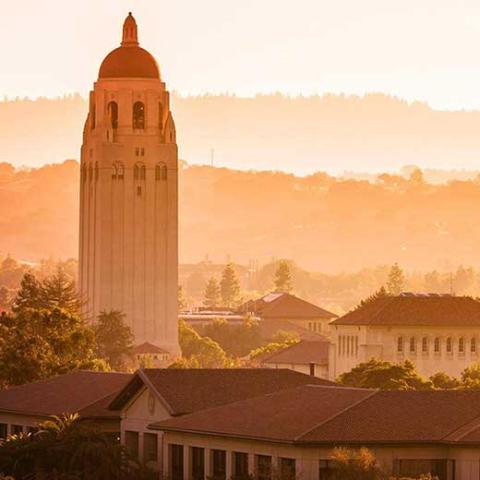 Stanford campus with view of  Hoover Tower and surrounding buildings