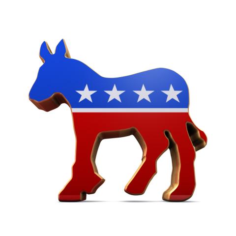 Democrat's Donkey