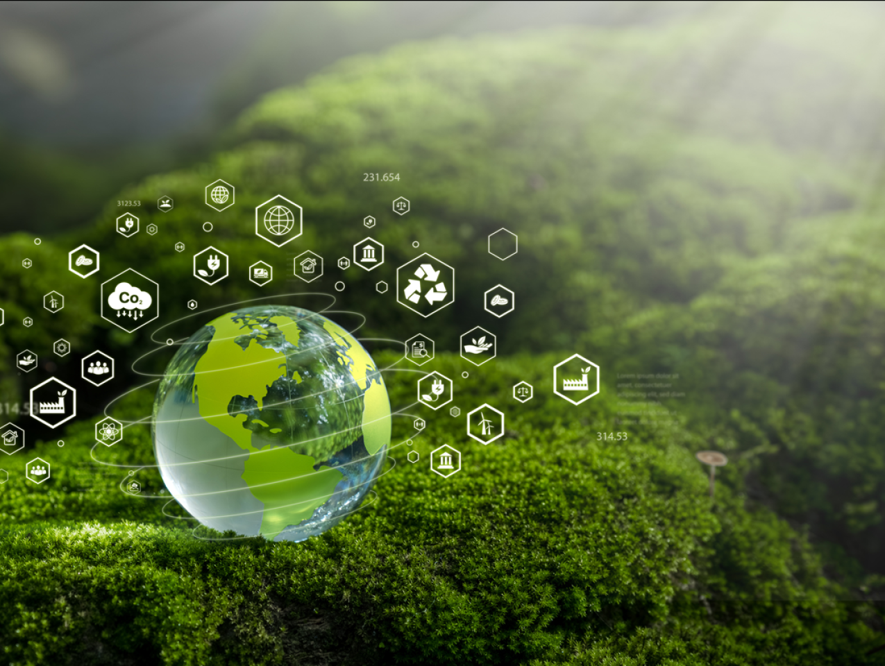 Net Zero Concept and Carbon Neutral Natural Environment Climate-neutral long-term emissions strategy, goals, sustainability, globe icon. green background stock photo