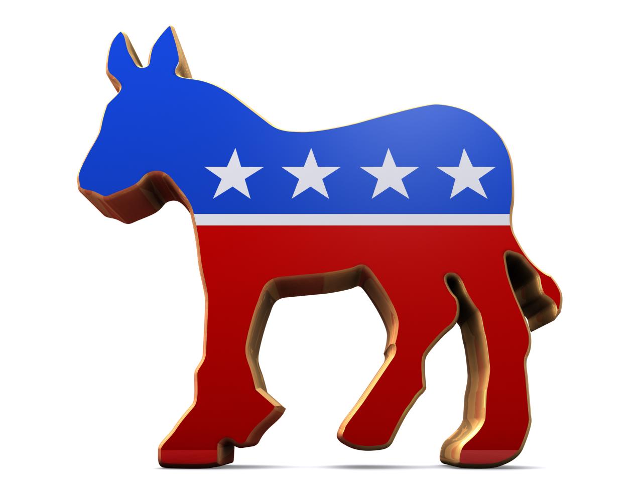 Democrat's Donkey