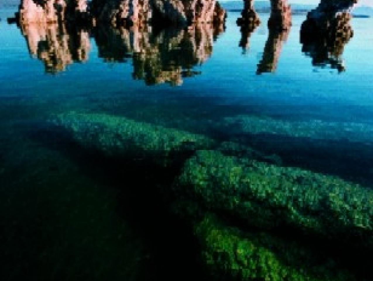 Mono Lake: Will state stop diverting its water to L.A.?- CalMatters