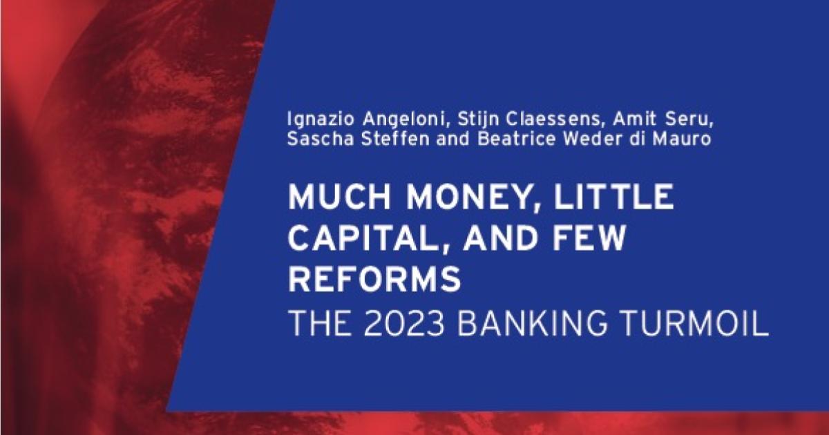 Geneva 27: Much Money, Little Capital, and Few Reforms: The 2023 banking turmoil